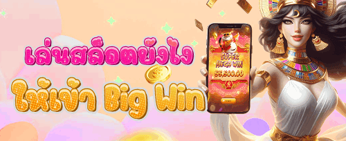 ฟรีสปินสุดฮอตจากค่ายดัง promotion