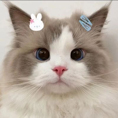 โอม ภวัต profile